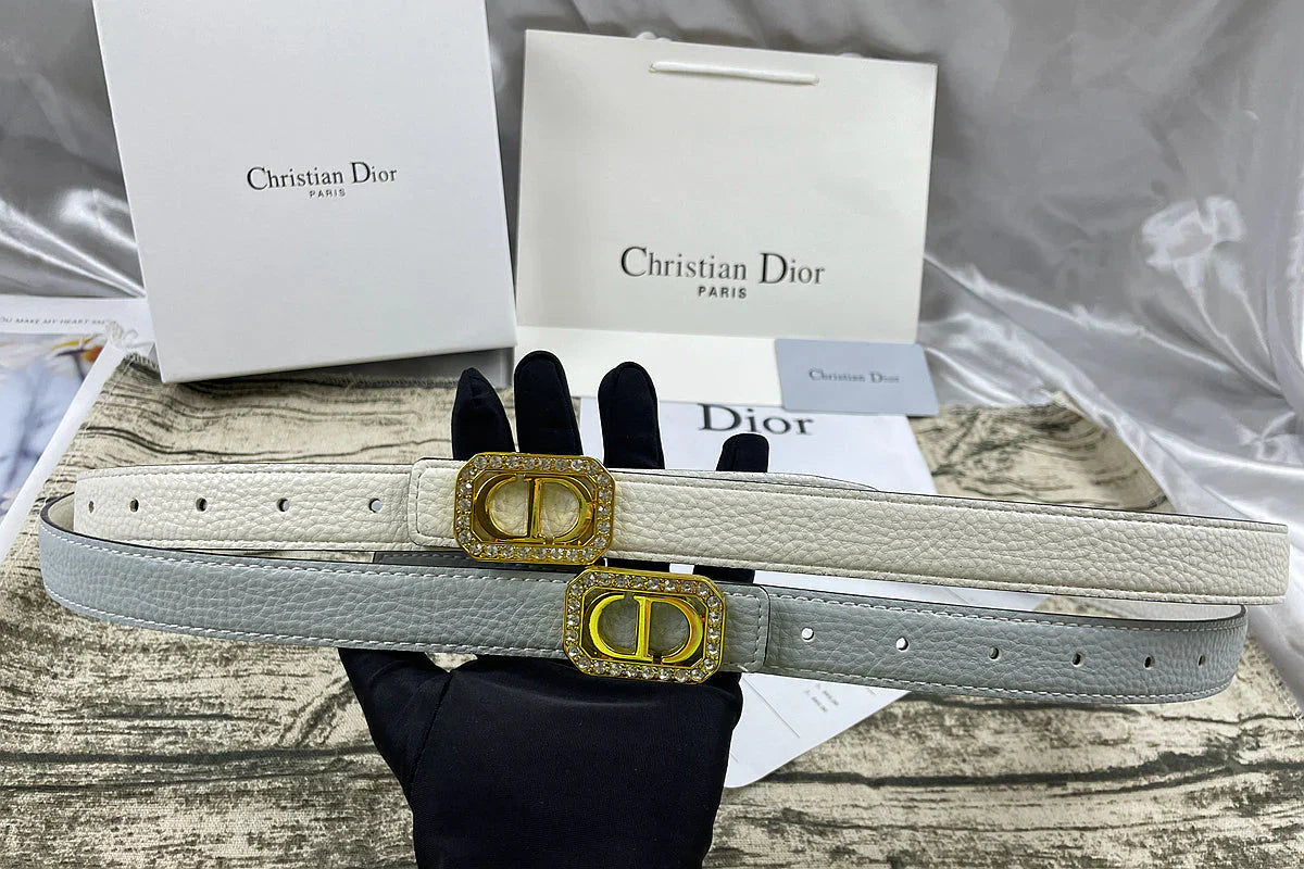 6 Colors  rhinestone CD lychee pattern double-sided belt